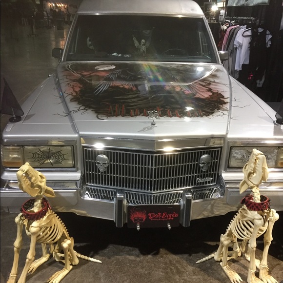 Meet your Posher, Fantasya - Picture 7 of 7